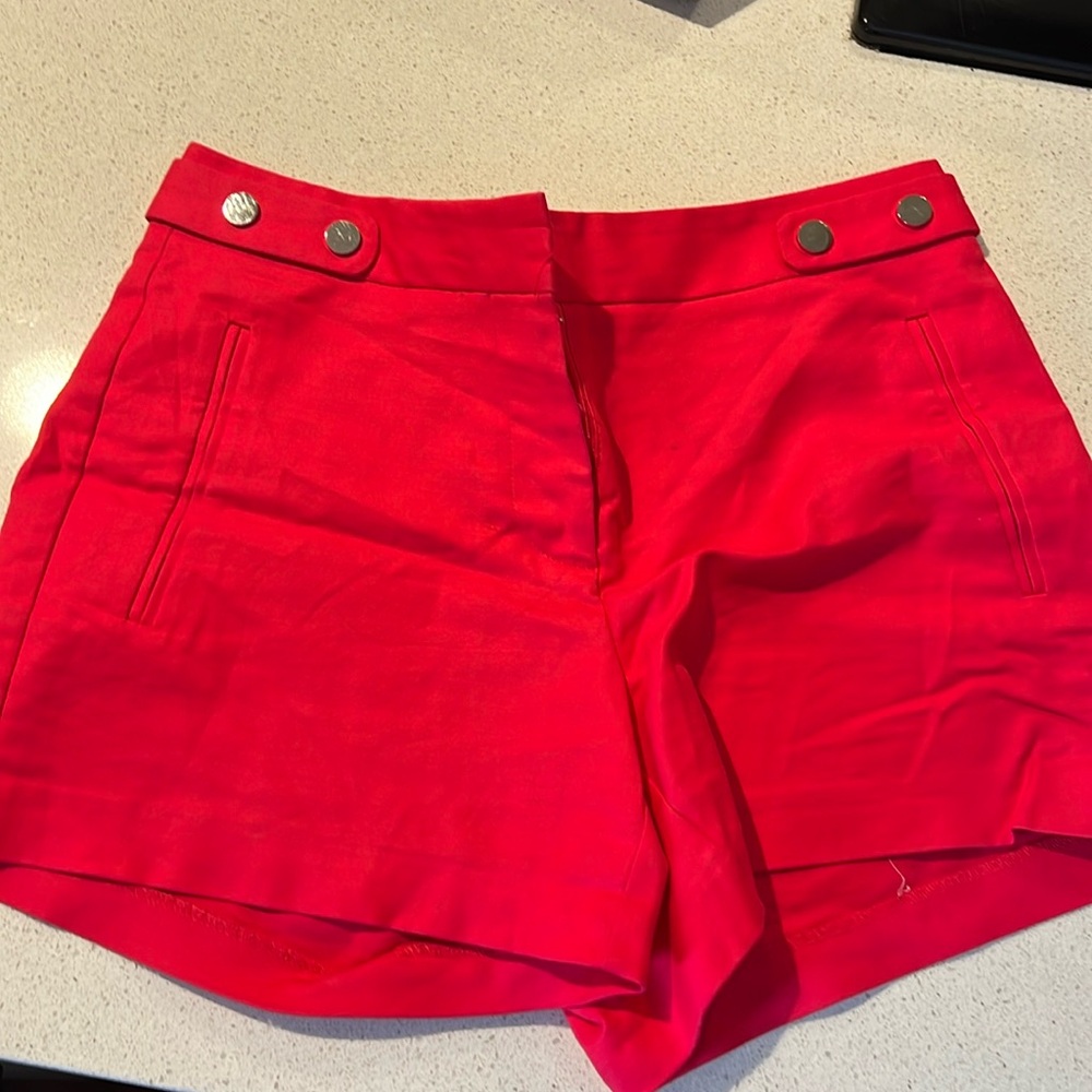 Zara Pink Shorts